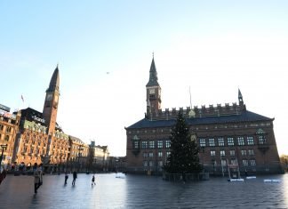 Utilizzare la Copenaghen Card: consigli e informazioni