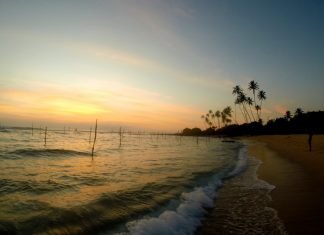 Viaggio in Sri Lanka: cosa vedere in un itinerario di 10 giorni