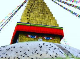 Il mio pensiero è in Nepal