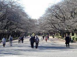 Itinerario in Giappone di 12 giorni itinerario-in-giappone-12-giorni