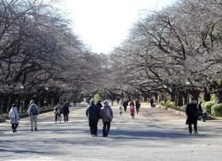 Itinerario in Giappone di 12 giorni itinerario-in-giappone-12-giorni