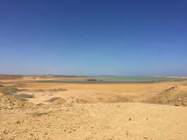 Esplorando l’Alta Guajira colombiana in 3 giorni tour-alta-guajira-colombia