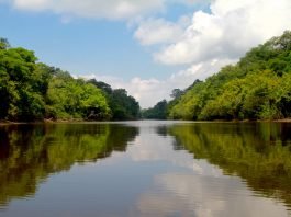 Tour nell’amazzonia Colombiana: come, dove e quando. come-visitare-amazzonia-riflessi-lago