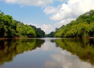 Tour nell’amazzonia Colombiana: come, dove e quando. come-visitare-amazzonia-riflessi-lago