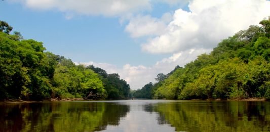 Tour nell’amazzonia Colombiana: come, dove e quando. come-visitare-amazzonia-riflessi-lago