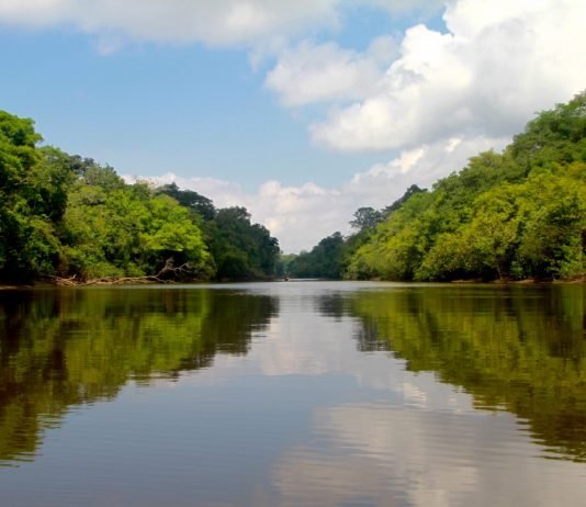 Tour nell’amazzonia Colombiana: come, dove e quando. come-visitare-amazzonia-riflessi-lago