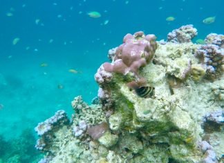 Dove andare al mare a dicembre in Thailandia mare-in-thailandia-dicembre