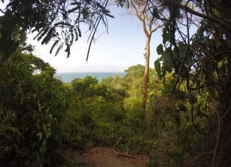 Viaggio in Colombia: il Parco Nazionale di Tayrona viaggio-in-colombia-parco-di-tayrona