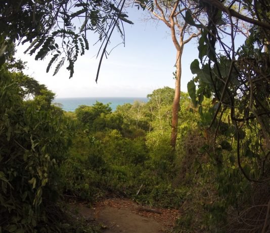 Viaggio in Colombia: il Parco Nazionale di Tayrona viaggio-in-colombia-parco-di-tayrona