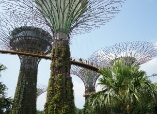 Cosa vedere e fare a Singapore la città del futuro cosa-vedere-e-fare-a-singapore-la-citta-del-futuro-gardens-by-the-bay