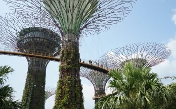 Cosa vedere e fare a Singapore la città del futuro cosa-vedere-e-fare-a-singapore-la-citta-del-futuro-gardens-by-the-bay