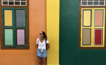 Street Food e cucina Internazionale: 5 posti dove mangiare a Singapore cosa-vedere-e-fare-a-singapore-la-citta-del-futuro-street-art-arab-street