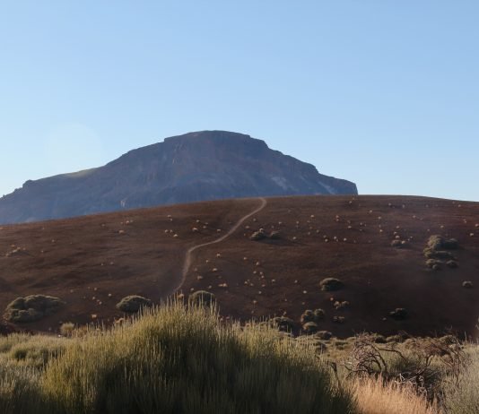 Esplorando le Canarie alla scoperta di Tenerife