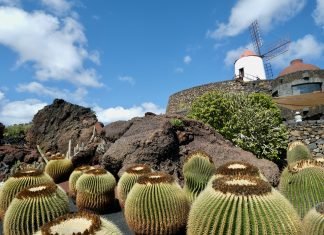 Viaggio alle Canarie: esplorando l’isola di Lanzarote