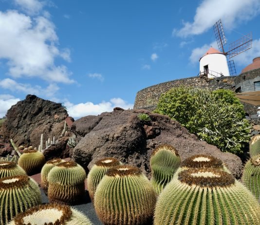 Viaggio alle Canarie: esplorando l’isola di Lanzarote